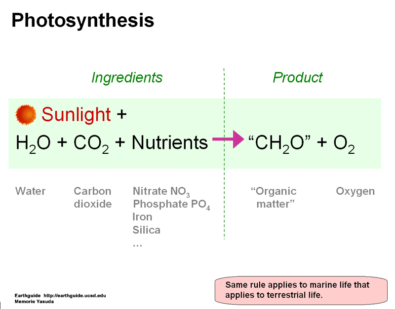 What Is the formula for photosynthesis?