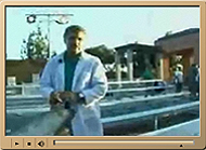 Video image link - Buoyancy of shark liver.
